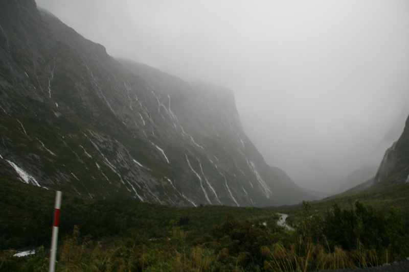 Nieuw-Zeeland 2011 - 1684